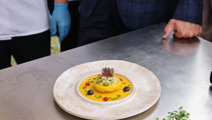 Nilüfer’de Enginar Şöleni: Ünlü Şefler Sahnedeydi