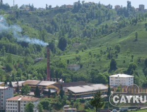 “Yaş çay alım fiyatına ek destek verilmelidir”