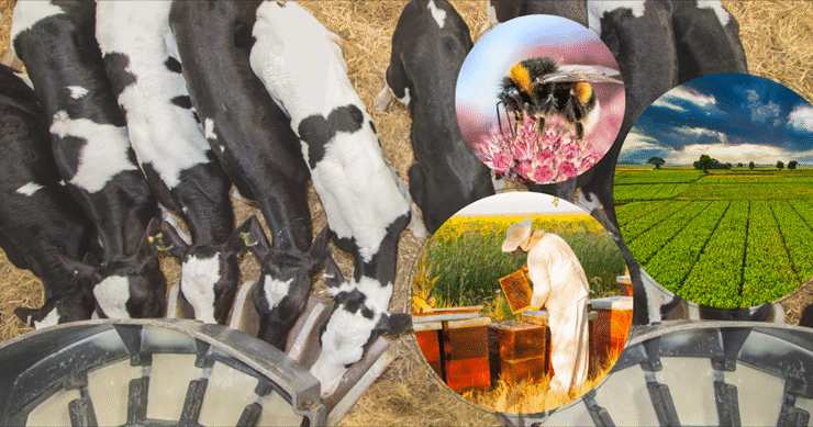 5.1 MİLYAR TL. DESTEKLEME ÖDEMESİ 16 MAYIS 2025 BUGÜN HESAPLARA AKTARILIYOR