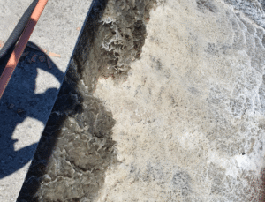 Çevre Skandalı: İSKİ’nin Arıtma Tesisine Suç Duyurusu ve Ceza Yağdı