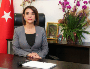 Gamze Taşcıer: Veriler “Geçim”, Erdoğan “Dış Güçler” Diyor