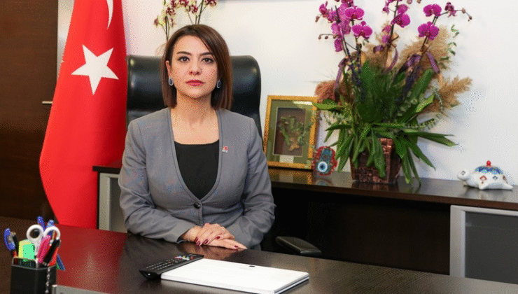 Gamze Taşcıer: Veriler “Geçim”, Erdoğan “Dış Güçler” Diyor