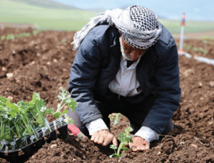 Tarımda Makas Değişikliği Çiftçiyi Zora Soktu, Çözüm Taban Fiyat ve Destekte