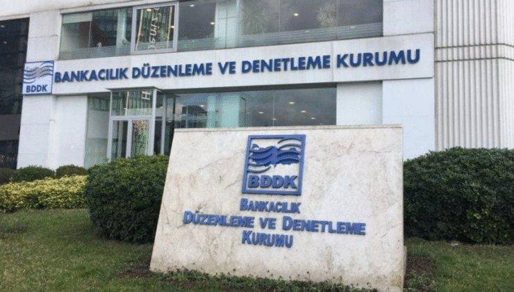 BDDK Yıllık Faaliyet Raporu 2024 yayımlandı.