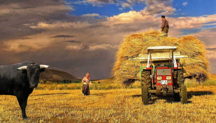 Tarım ve Balıkçılığa Can Suyu: 251 Milyon TL Destekleme Ödemesi Başladı!