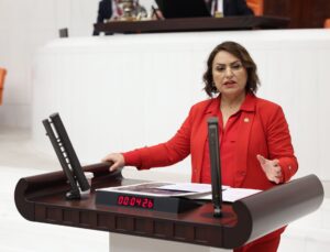 Ölümlere neden olan Saimbeyli-Feke-Tufanbeyli yolu meclise taşındı