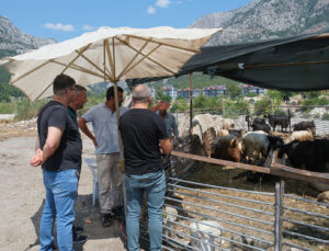 Kurban Bayramı Öncesi Sıkı Denetim: Sağlıklı ve Güvenli Bayram İçin Tedbirler Alındı!