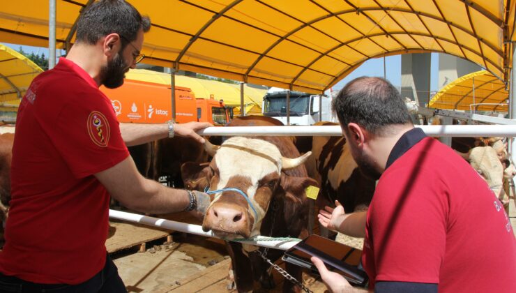 İBB’den Bayram Seferberliği: Kurban Bayramı’na Tam Hazırlık