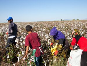 Tarımda Çalışan Çocuklar Ciddi Sağlık Tehditleriyle Karşı Karşıya