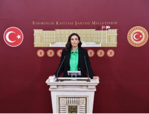 Boyabat’ta Dev Maden Projesi Alarm Veriyor