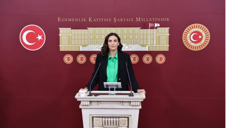 Boyabat’ta Dev Maden Projesi Alarm Veriyor