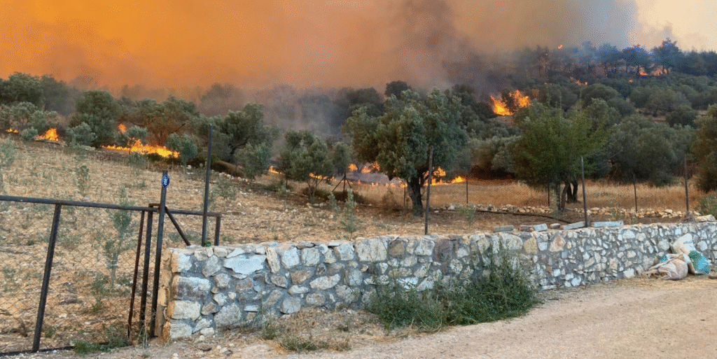 Foça ve Aliağa’da çıkan orman yangınlarına 150 personel ve 22 ekiple müdahale edildi. İzmir Büyükşehir İtfaiyesi, vatandaşları ihmale karşı uyardı: “Küçük bir kıvılcım, büyük kayıplara yol açıyor.”