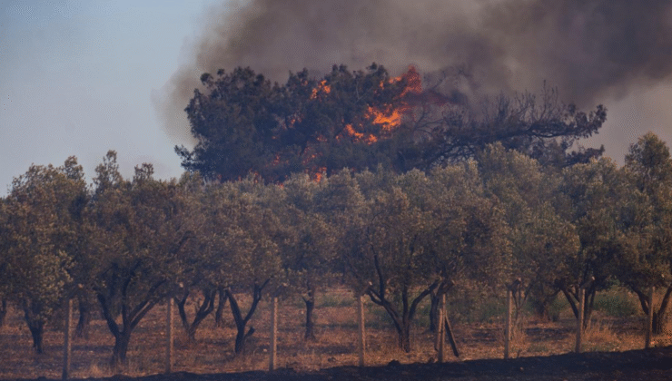 Foça ve Aliağa Alev Alev 150 Personel 22 Ekip Onlarca Araçla Seferberlik!