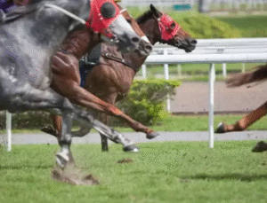 Gazi Koşusu nda Favori Yok Jokeyler Nefes Kesecek Yarışa Hazır