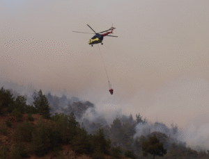 Bilecik Gölpazarı Sınırında Alarm Taraklı’dan Gelen Alevler Köprücek e Ulaştı!