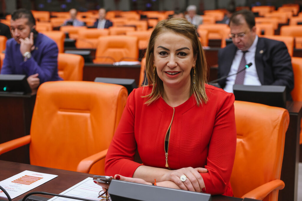 CHP Milletvekili Nermin Yıldırım Kara, orman yangınları için yapılan milyarlarca liralık hava aracı kiralamalarını eleştirdi. 311 milyon dolarlık yatırımın akıbetini soran Kara, 2024'te 39 bin futbol sahası büyüklüğünde ormanlık alanın yok olduğunu açıkladı.