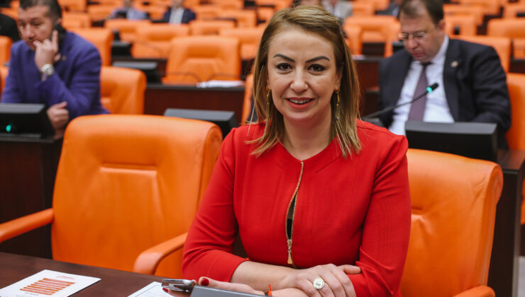CHP den Orman Yangınları İçin Çarpıcı İddia: 8 Milyar TL Kiralama Bedeli Buhar Oldu