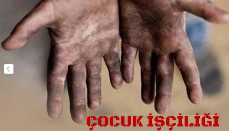 Çocuk İşçiliğiyle Mücadeleye TÜGİS ten AB Destekli Proje