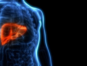 Kalp Hastalarına Bayramda Et Tüketimi Uyarısı! “24 Saat Dinlendirmeden Et Tüketmeyin!”