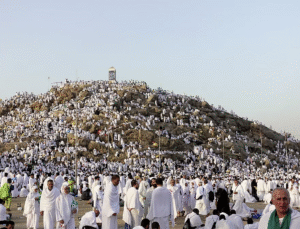 Türk hacı adaylarının Arafat’a intikali başladı
