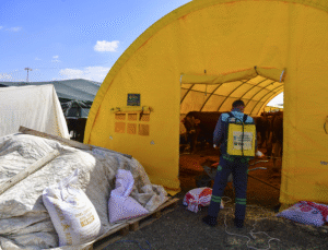 ABB’den Kurban Bayramı Öncesi Haşereye Karşı Kapsamlı İlaçlama