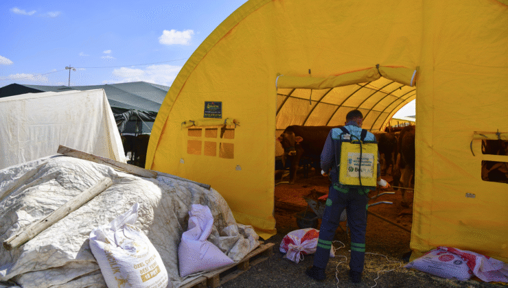 ABB’den Kurban Bayramı Öncesi Haşereye Karşı Kapsamlı İlaçlama