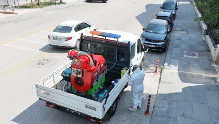 Çankaya’da Yaz Boyunca Kene, Haşere ve Sineklere Karşı Mücadele
