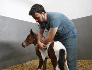 Bir Çocuğun Umudu, Bir Bakanın Duyarlılığı