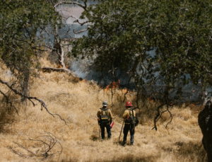 Bakan Yumaklıdan Yangın Açıklaması Hatay ve Diğer Bölgelerde Soğutma Başladı