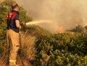 Urla’da Orman Yangını: Havadan ve Karadan Müdahale Sürüyor