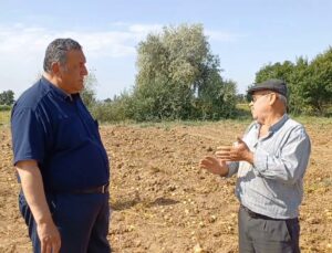 Gürer Patates Tarlada, Üretici Ortada Kaldı!