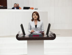 Gülcan Kış “DMD’li Çocukların Yaşamı Bağışlara Değil, Devlete Emanet Edilmelidir”