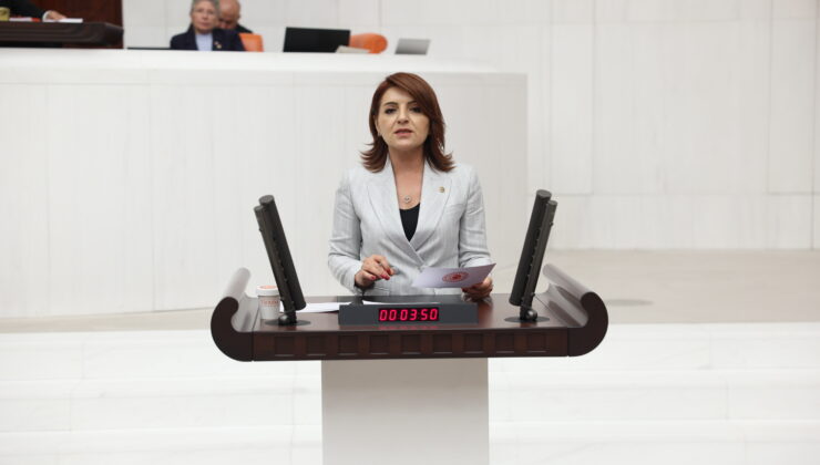 Gülcan Kış “DMD’li Çocukların Yaşamı Bağışlara Değil, Devlete Emanet Edilmelidir”