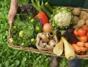 Ticaret Bakanlığından Organik Ürünlere Yeni Düzenleme: Sahteciliğe Karşı Sıkı Takip Başlıyor!