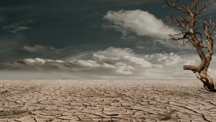 Elif Esen: “Toprağı Talan Ettirmeyeceğiz!”