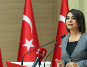 Gamze Taşcıer, “Arabuluculuk değil, Saray’ın gönlünü yapma düzeni”