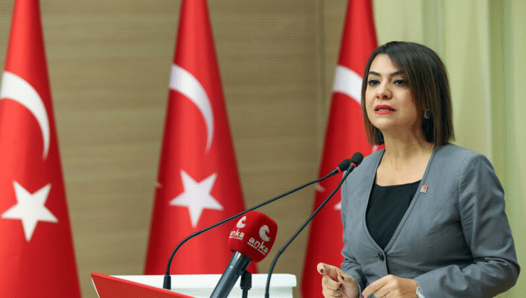 Gamze Taşcıer, “Arabuluculuk değil, Saray’ın gönlünü yapma düzeni”