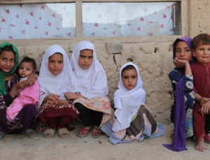 Gıda Mühendisleri Odası: “Gazze’de Açlıktan Yaşanan Ölümler İnsanlığın Ortak Utancıdır”