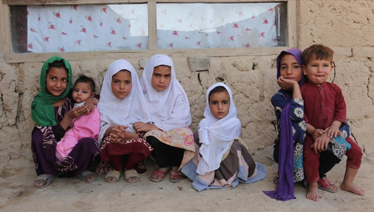 Gıda Mühendisleri Odası: “Gazze’de Açlıktan Yaşanan Ölümler İnsanlığın Ortak Utancıdır”