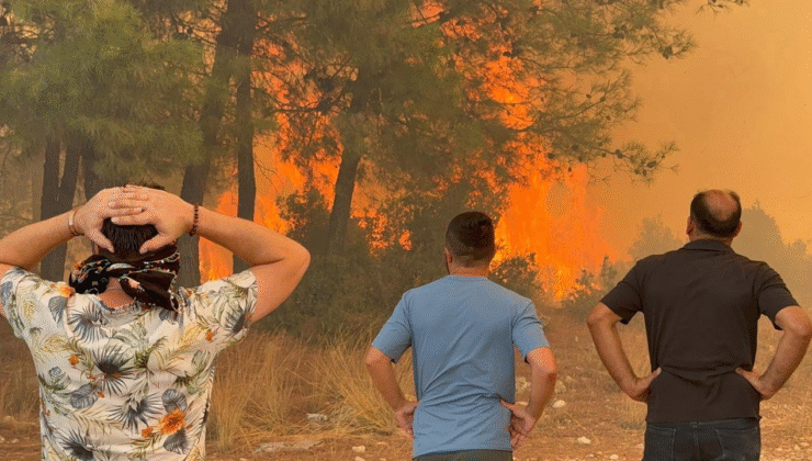 26.07.2025 Tarım ve Orman Bakanı İbrahim Yumaklı, Orman Yangınları Açıklaması