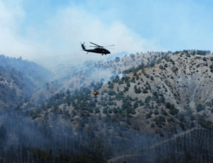 Cumhurbaşkanlığı İletişim Başkanlığı,nın Orman Yangınları Açıklaması 26/07/2025