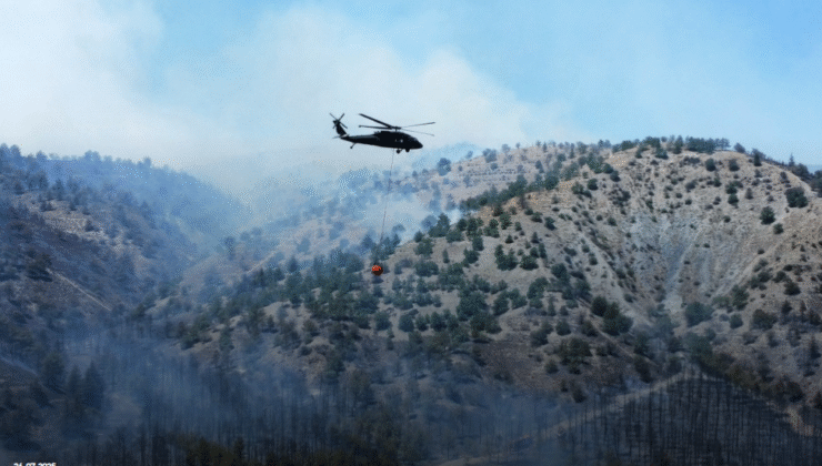 Cumhurbaşkanlığı İletişim Başkanlığı,nın Orman Yangınları Açıklaması 26/07/2025