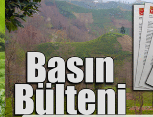 ÇAYKUR’dan İkinci Sürgün Açıklaması, “Üreticimizin Daima Yanındayız”