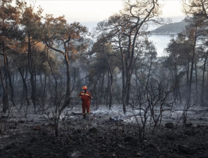 İletişim Başkanlığı 2025in İlk Yarım Yılında 3015 Orman ve Kırsal Alan Yangını Meydana Geldi