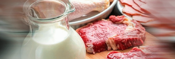 Şap Krizi Büyüyor CHP li Gürer den Bakanlığa Sert Tepki!