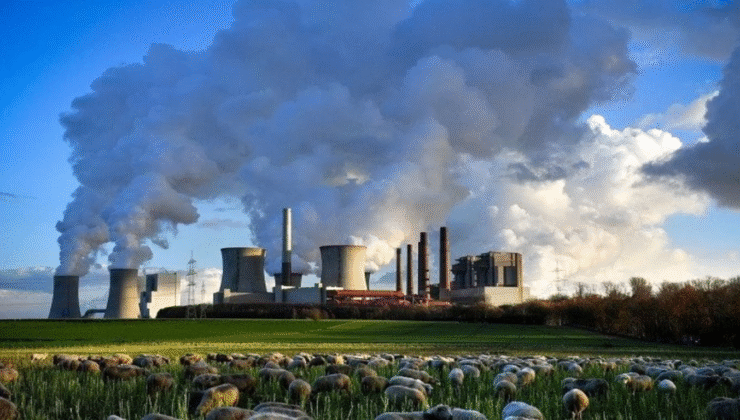 Ekmen den  İklim Yasasına Eleştiri Bu Yasa İklimle Değil Ticaretle İlgili