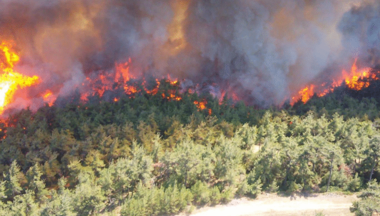 Bakan Yumaklı Son Bir Haftada 624 Orman Yangını Çıktı 621i Kontrol Altına Alındı