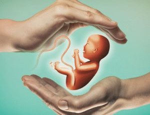 Tüp bebek tedavisinde havuza girilmemeli