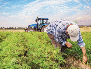 Gürer’den Borç Uyarısı: Ekonomi Çığlık Atıyor, Çözüm Şart