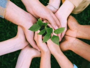 İBB’den İstanbul Kart İle Düzenli Sosyal Yardım